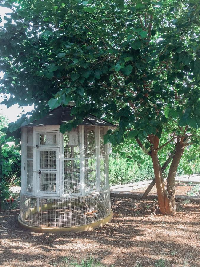 Agrilia Maison Ραζάτα Εξωτερικό φωτογραφία